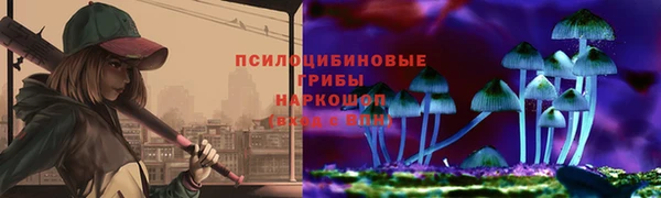 крисы Аркадак