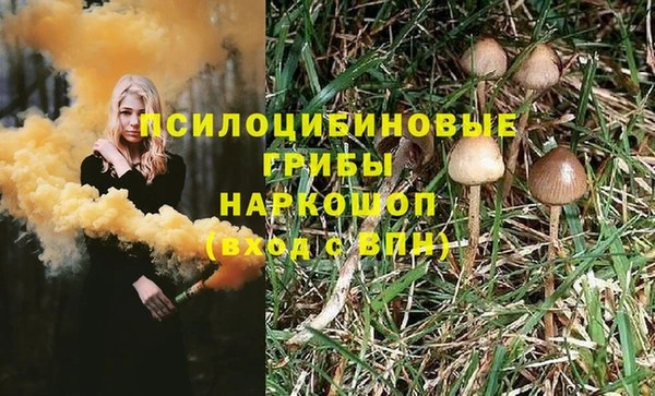 крисы Аркадак